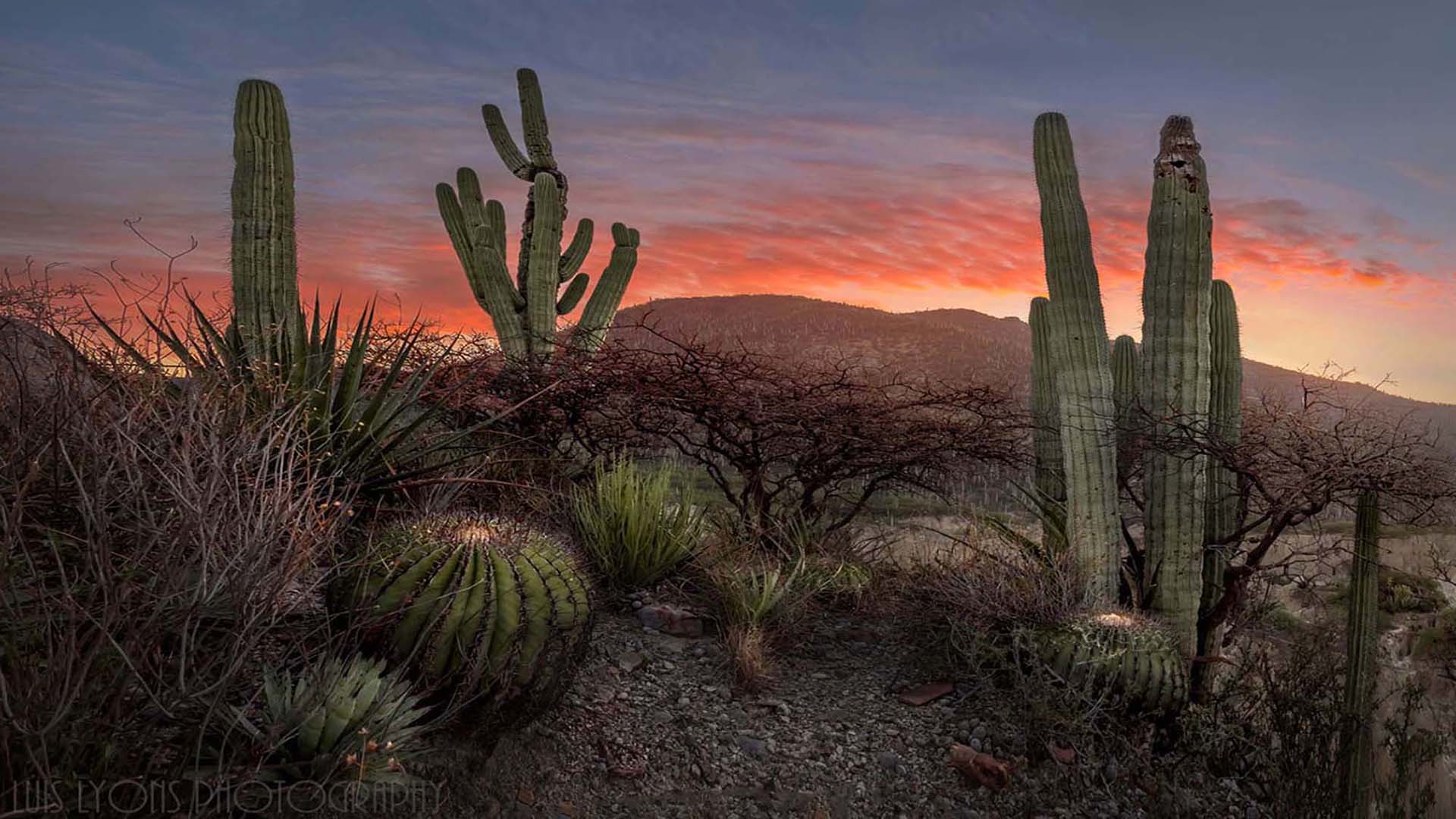 Photo Workshops México