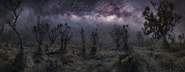 Taller Temático  Atardecer-Foto Nocturna-Amanecer en la Reserva de la Biósfera Tehuacán-Cuicatlán