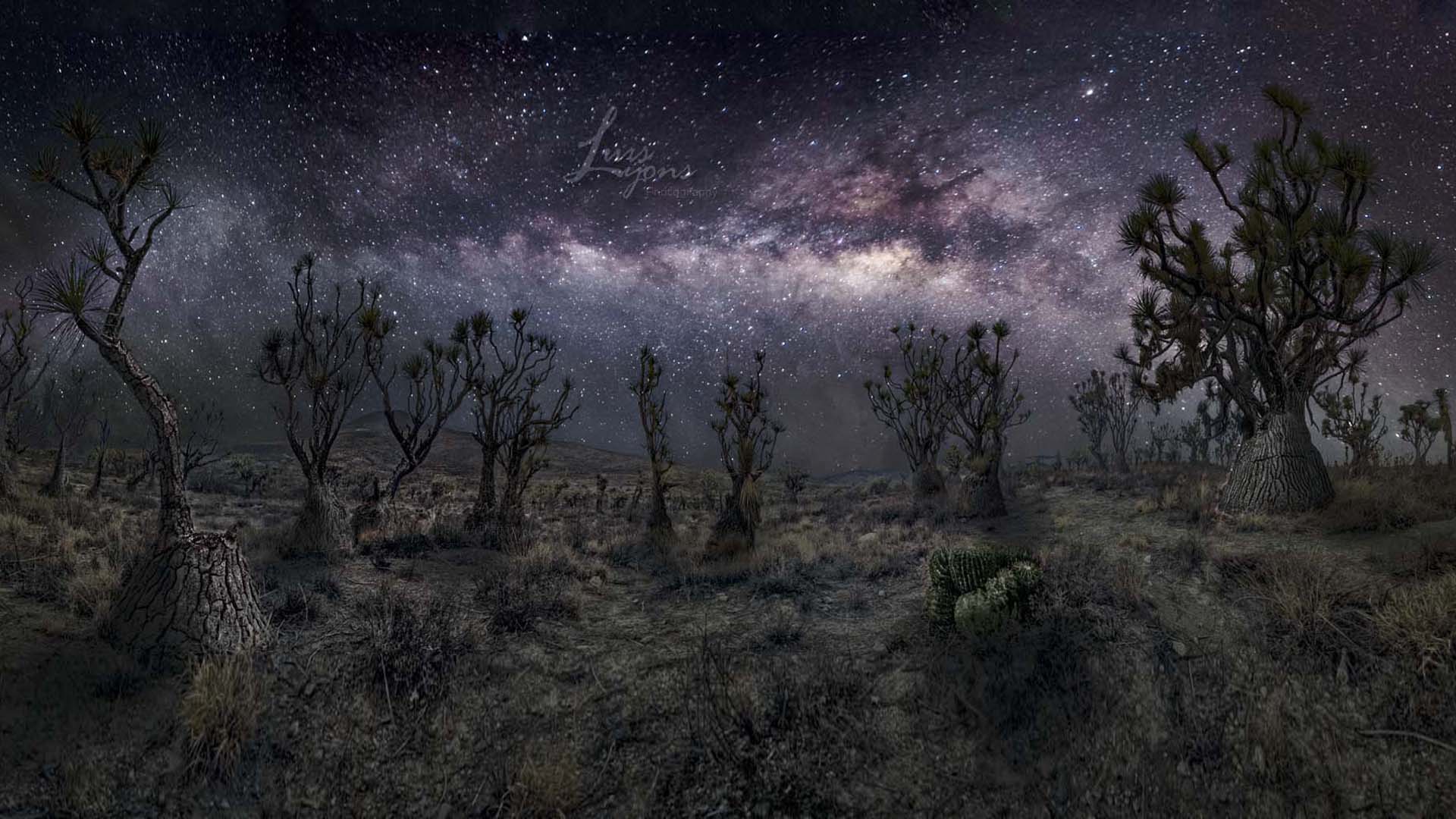 Taller Temático  Atardecer-Foto Nocturna-Amanecer en la Reserva de la Biósfera Tehuacán-Cuicatlán
